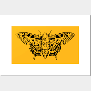 Buddha Fly Posters and Art